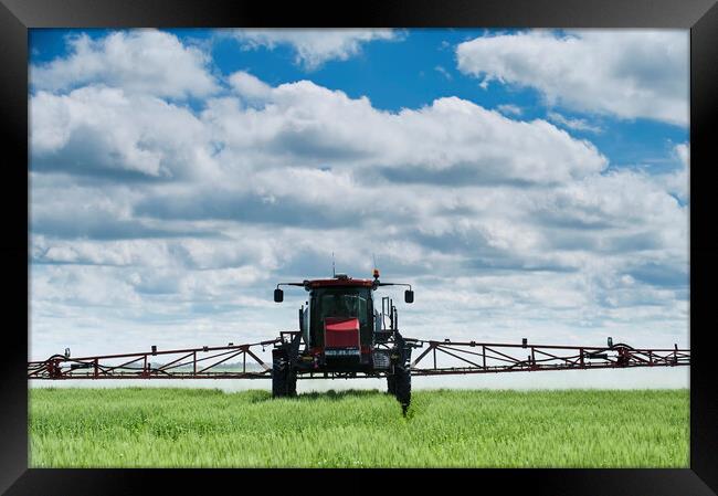 a high clearance sprayer gives a chemical application to wheat Framed Print by Dave Reede