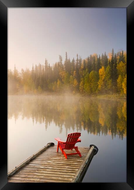 Muskoka chair on dock Framed Print by Dave Reede