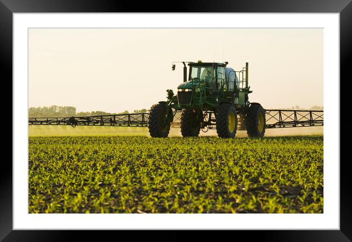 high clearance sprayer works in a field of early growth corn Framed Mounted Print by Dave Reede