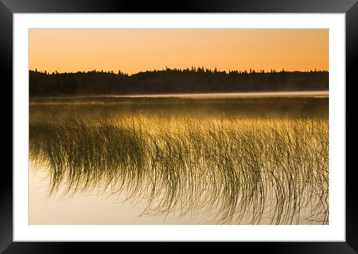 Clear Lake Framed Mounted Print by Dave Reede