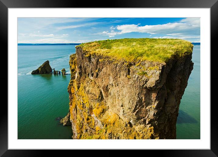 DR_9647 Framed Mounted Print by Dave Reede