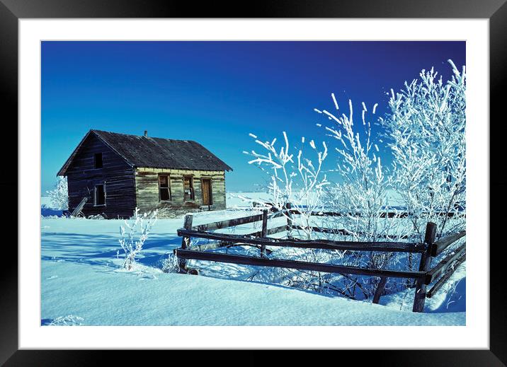 pioneer log home and trees covered with hoarfrost Framed Mounted Print by Dave Reede