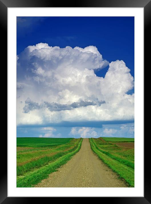 country road with cumulonimbus cloud mass in the background Framed Mounted Print by Dave Reede