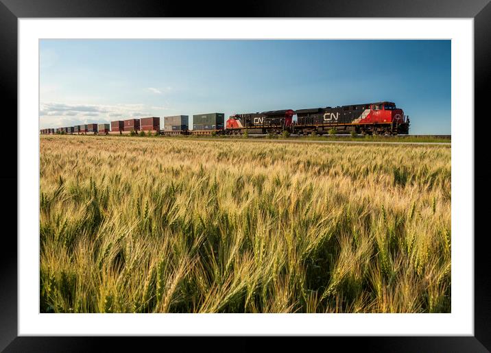 rail cars carrying containers Framed Mounted Print by Dave Reede