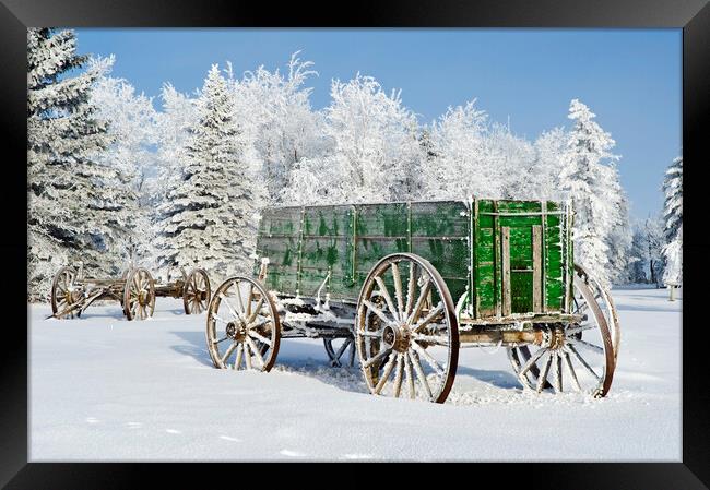 old wagon in the hoarfrost Framed Print by Dave Reede