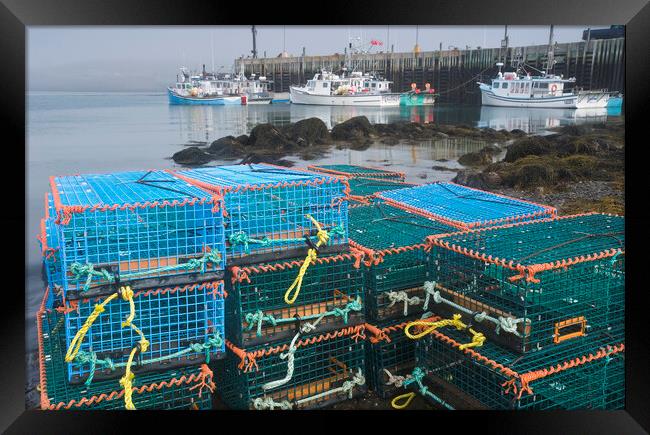 stacked lobster traps along shoreline Framed Print by Dave Reede