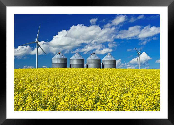 bloom stage canola field with grain storage bins Framed Mounted Print by Dave Reede