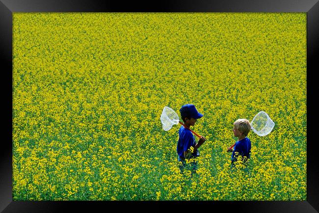 Boys in Canola Field Framed Print by Dave Reede