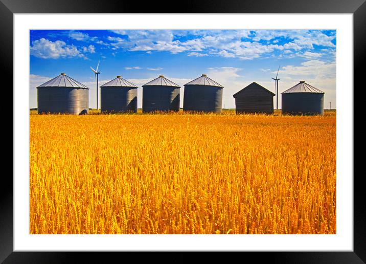 Old Grain Bins Framed Mounted Print by Dave Reede