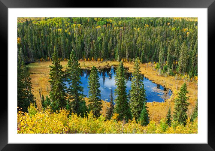 Boggy Lake Framed Mounted Print by Dave Reede