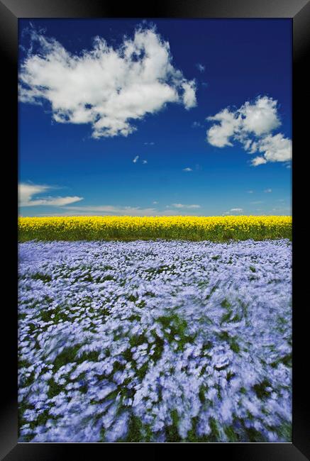 Wind in the Crop Framed Print by Dave Reede