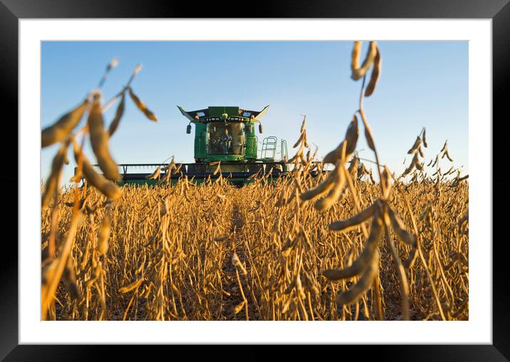 Soybean Harvest Framed Mounted Print by Dave Reede