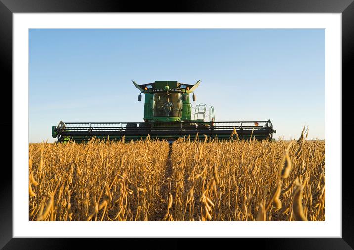 Evening Soybean Harvest Framed Mounted Print by Dave Reede