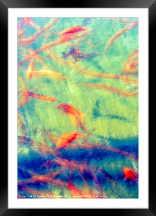 Koi Fish Abstract In Vertical Framed Mounted Print by Joseph S Giacalone