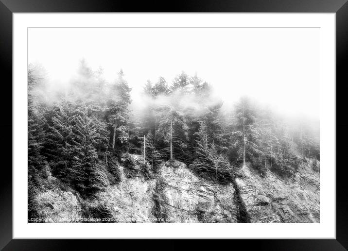 Trees In The Mist - Oregon Framed Mounted Print by Joseph S Giacalone