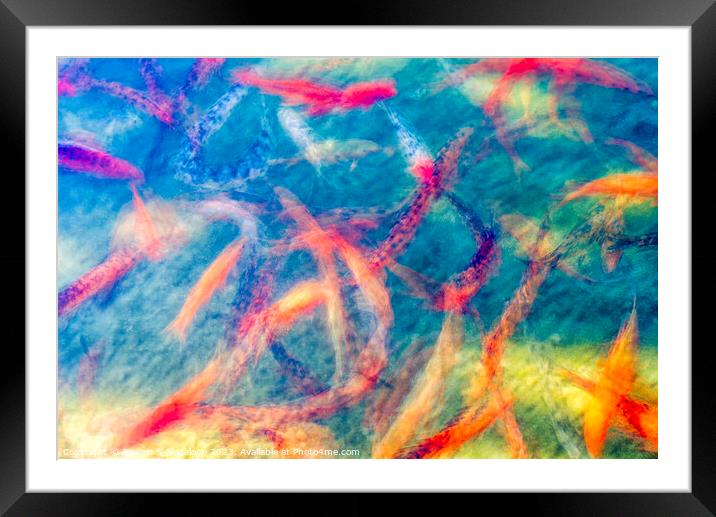 A Beautiful Motion Framed Mounted Print by Joseph S Giacalone