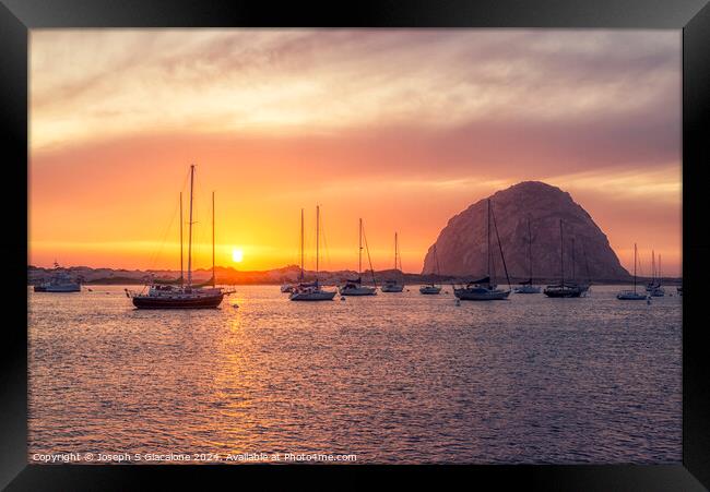 Bright Orange In Morro Bay Framed Print by Joseph S Giacalone