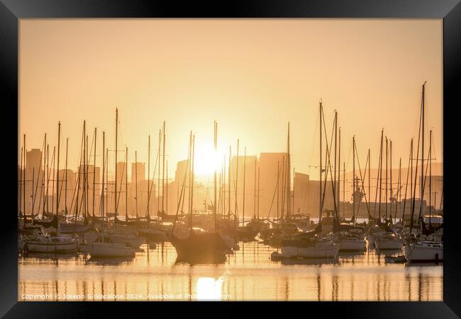 Nautical Forest - San Diego Harbor Framed Print by Joseph S Giacalone