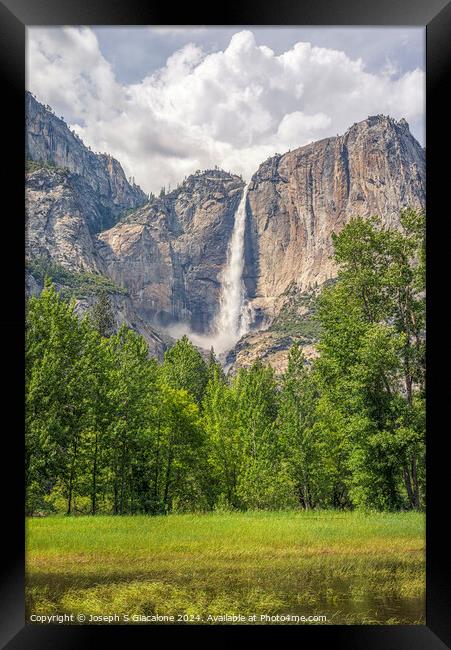 Here Me Roar Framed Print by Joseph S Giacalone