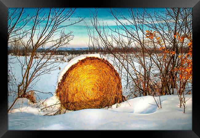Hay bale forgotten in the snow Framed Print by Dejan Travica