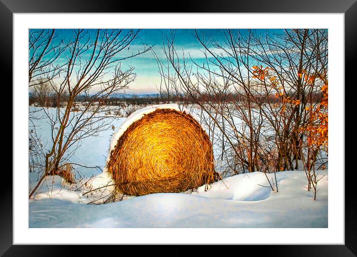 Hay bale forgotten in the snow Framed Mounted Print by Dejan Travica