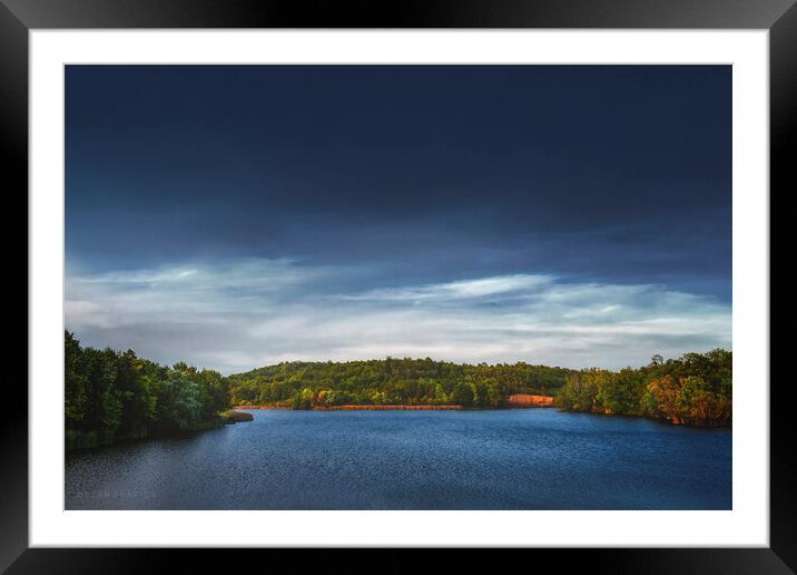 Everything's quiet on the small lake Framed Mounted Print by Dejan Travica