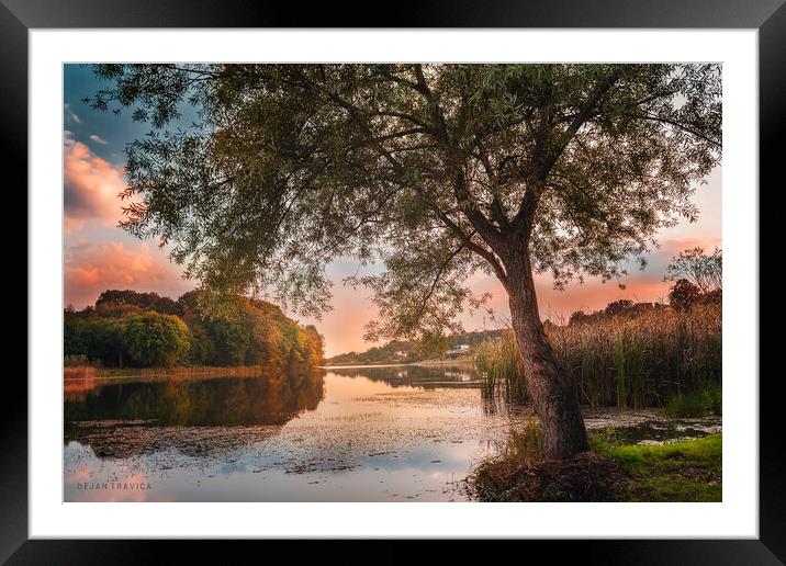 A secret place on the small lake 2 Framed Mounted Print by Dejan Travica