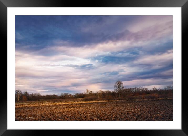 The bare field is waiting for the first snow Framed Mounted Print by Dejan Travica