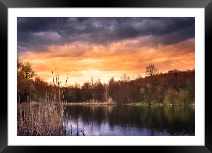 At the end of the small forest lake Framed Mounted Print by Dejan Travica
