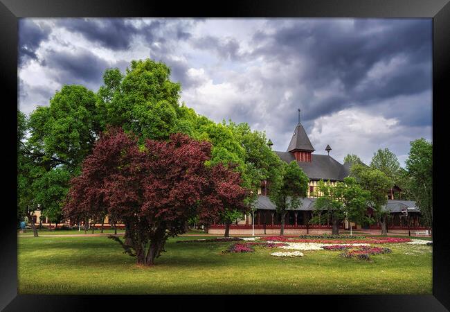 The Great park Palic Framed Print by Dejan Travica