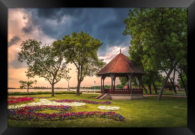 The Music Pavilion on the Palic Lake in Serbia Framed Print by Dejan Travica