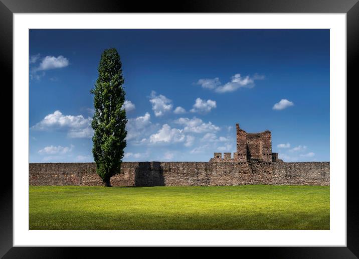 Lonely tree by the fortress walls Framed Mounted Print by Dejan Travica