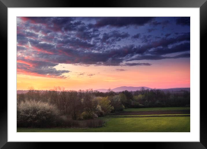 Early spring in the field at sunset Framed Mounted Print by Dejan Travica