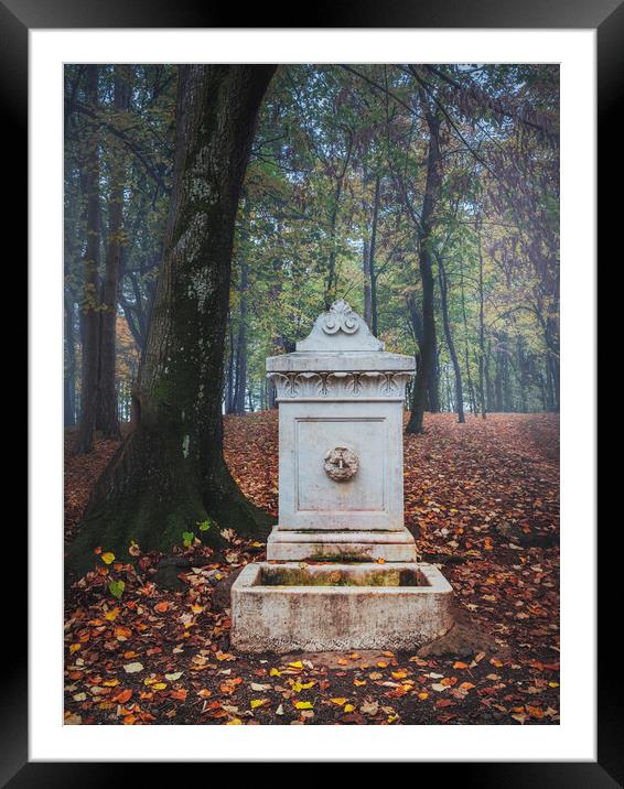 The old marble fountain in the forest on Oplenac hill in Serbia  Framed Mounted Print by Dejan Travica