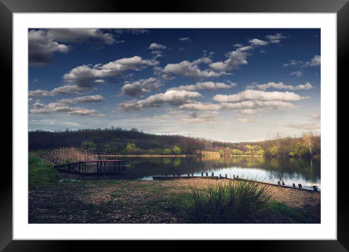 The small lake in early spring. Sumadija, Serbia. Framed Mounted Print by Dejan Travica