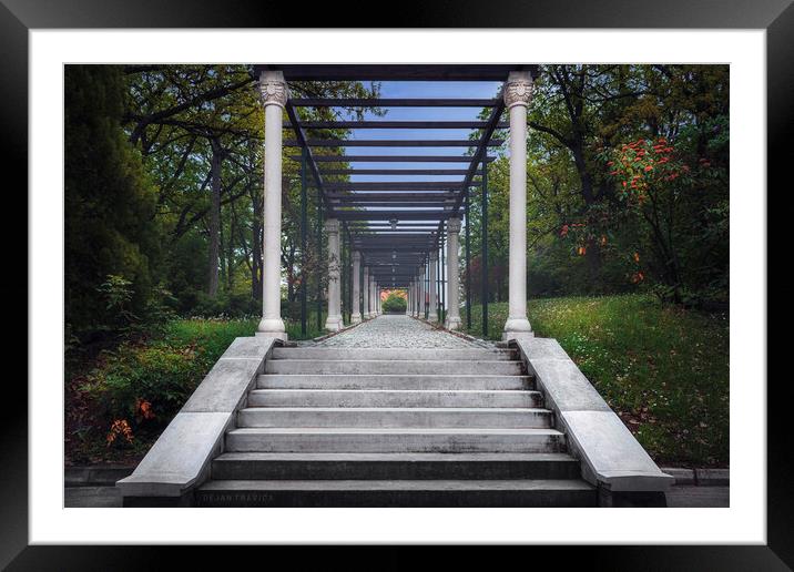 Stairs to the villa of Queen Mary on Oplenac in Topola in Serbia Framed Mounted Print by Dejan Travica
