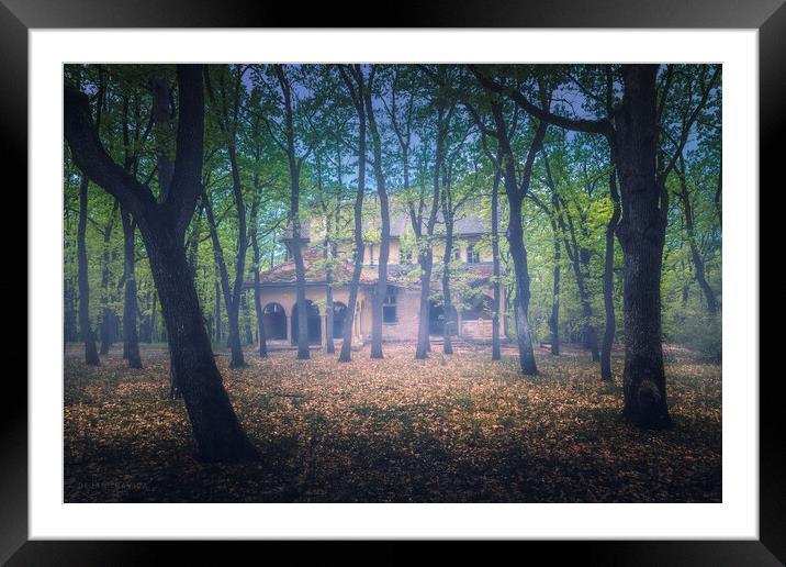 Abandoned old villa in the forest Framed Mounted Print by Dejan Travica