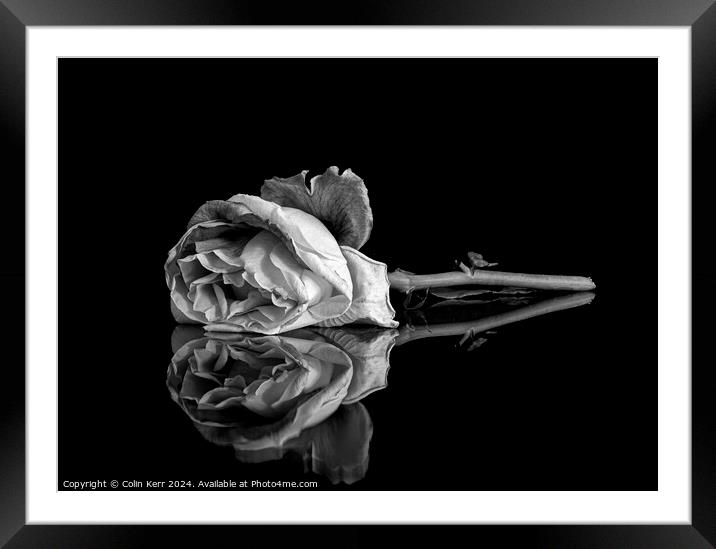 Fading Beauty Framed Mounted Print by Colin Kerr