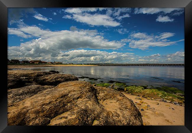 Amble Framed Print by CHRIS ANDERSON