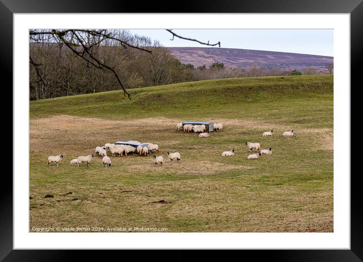 Outdoor grass Framed Mounted Print by Man And Life