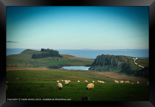 Outdoor grass Framed Print by Man And Life