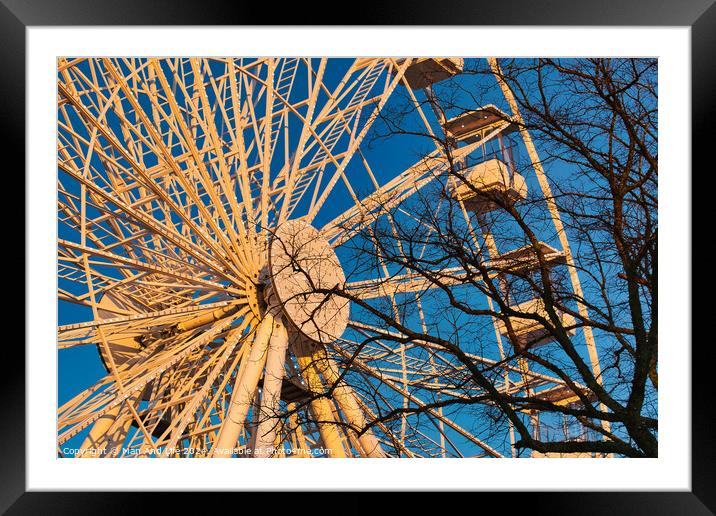 A ferris wheel against a clear blue sky at sunset, with trees in the foreground. Framed Mounted Print by Man And Life