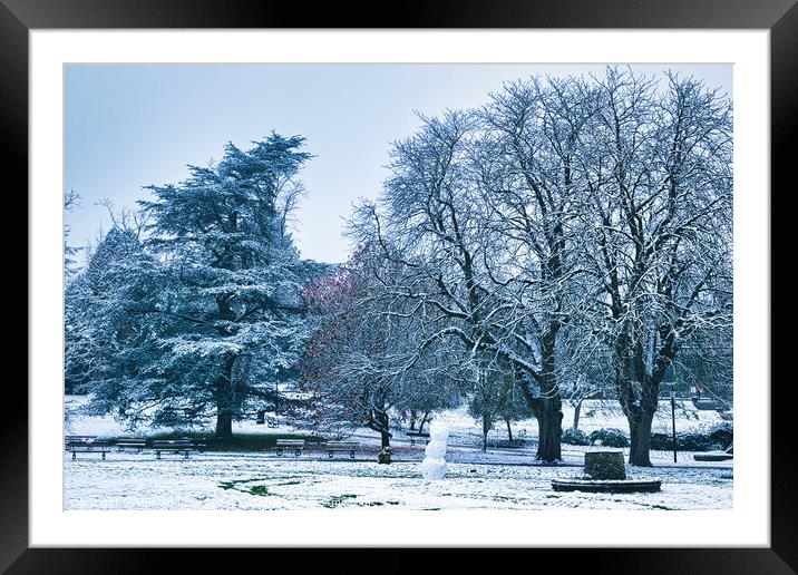 Plant tree Framed Mounted Print by Man And Life