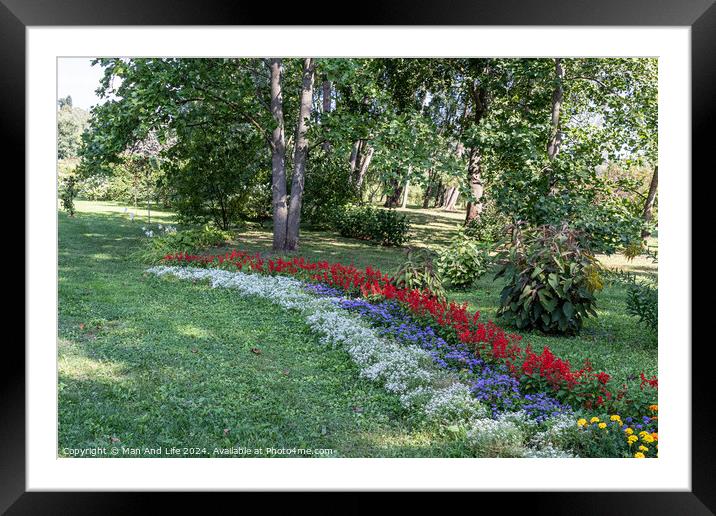 Plant  Framed Mounted Print by Man And Life