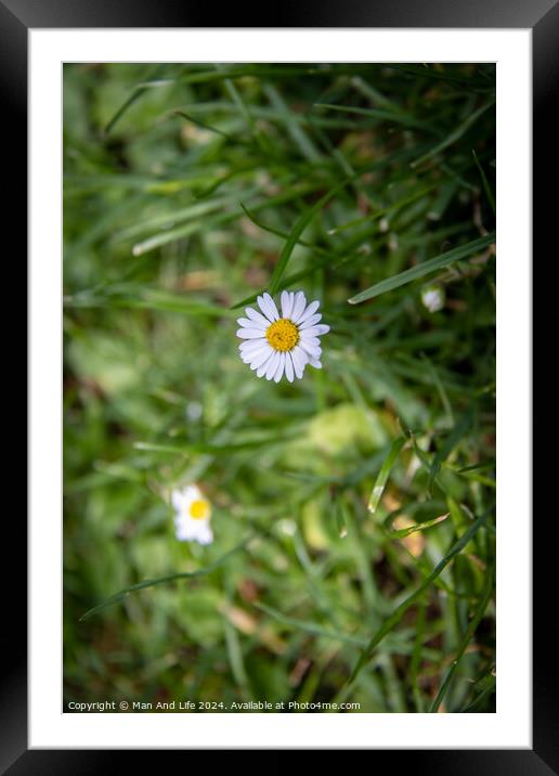 Plant flower Framed Mounted Print by Man And Life