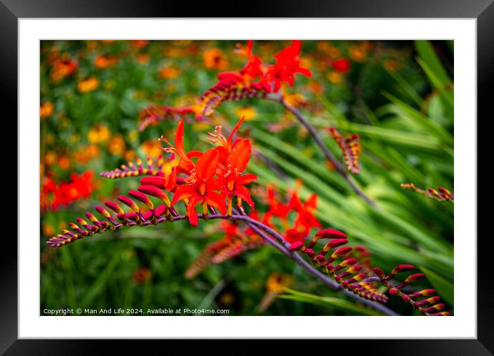 Outdoor field Framed Mounted Print by Man And Life