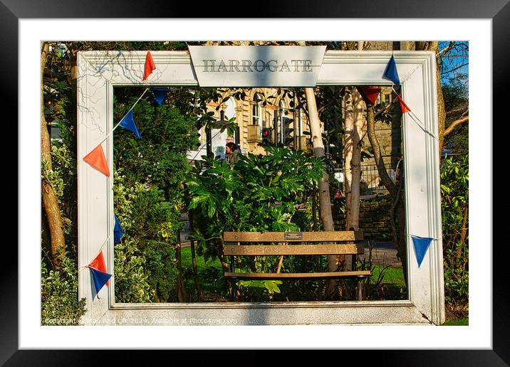 Quaint garden scene framed by a white wooden structure with 'Harrogate' sign, featuring a bench and lush greenery, adorned with colorful pennants. Framed Mounted Print by Man And Life