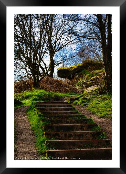 Stone steps leading up a lush green hillside with bare trees against a clear sky at Brimham Rocks, in North Yorkshire Framed Mounted Print by Man And Life