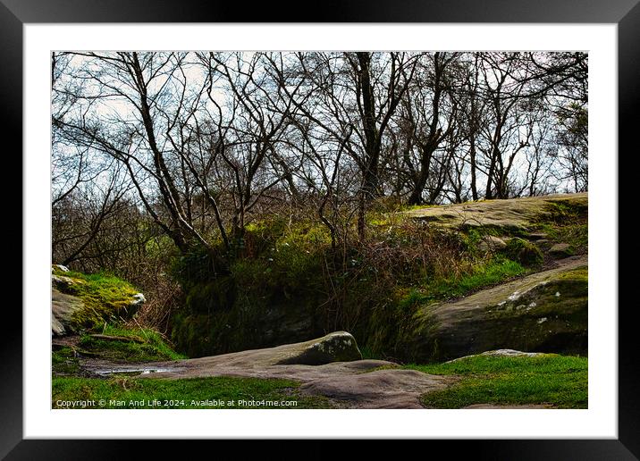 Serene woodland landscape with moss-covered rocks and bare trees against a cloudy sky at Brimham Rocks, in North Yorkshire Framed Mounted Print by Man And Life