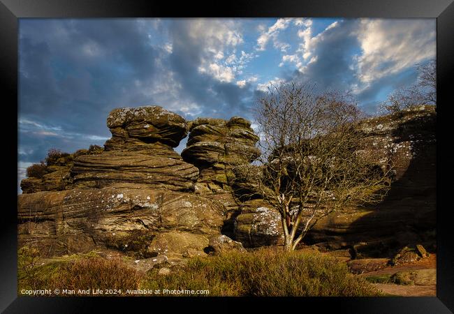 Dramatic landscape with weathered rock formations and a solitary tree under a cloudy sky at Brimham Rocks, in North Yorkshire Framed Print by Man And Life
